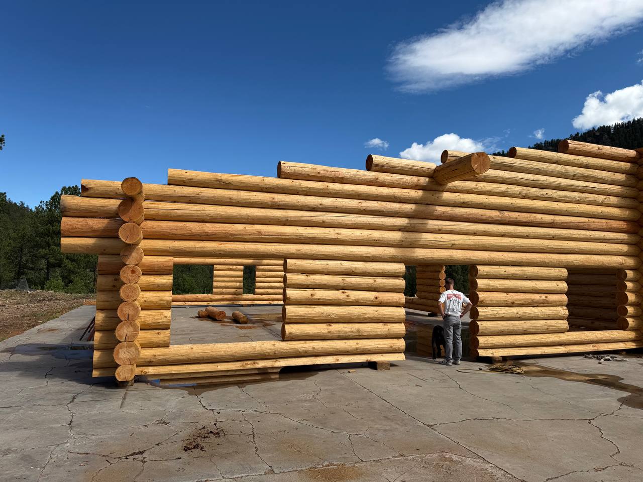 Log walls stacked on the mill pad, Bailey