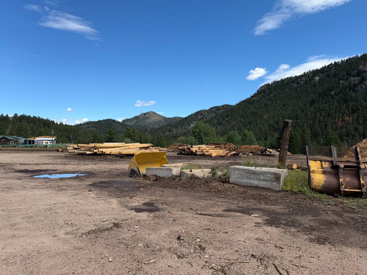 Log piles in the Bailey yard